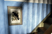 Natural Clay and Plaster Walls