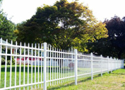 Aluminum Fence ,  Houston ,  TX