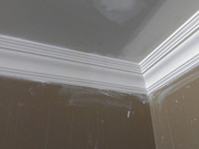 Ceiling Repair