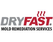 Mold Removal by Mold Out Services