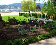 landscape Service in Portland