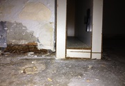 Water Damage Services in Bradenton | ServiceMaster Restorations