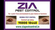 Service,  Other,  Pesticides,  Home service, 